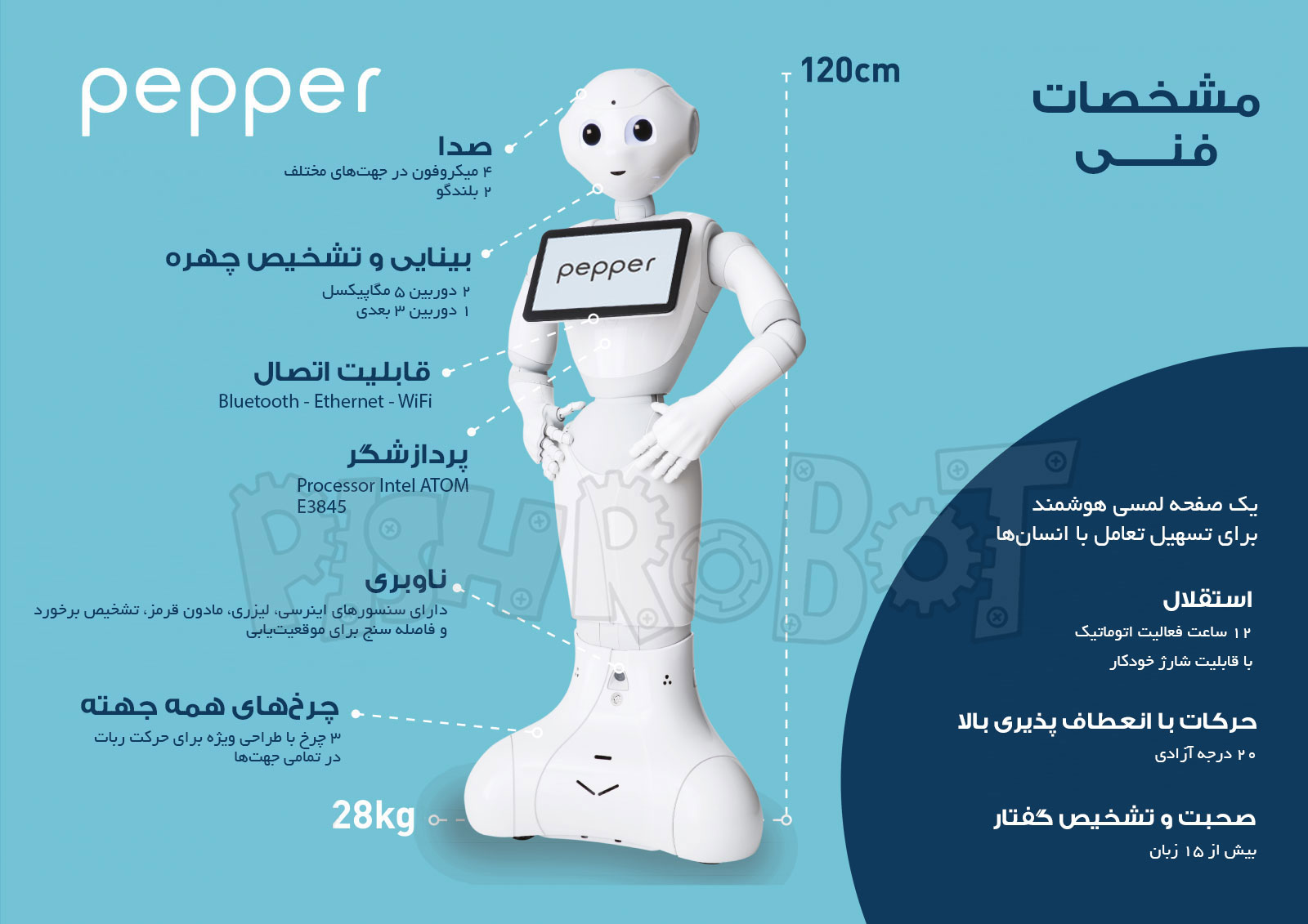 Pepper Robot